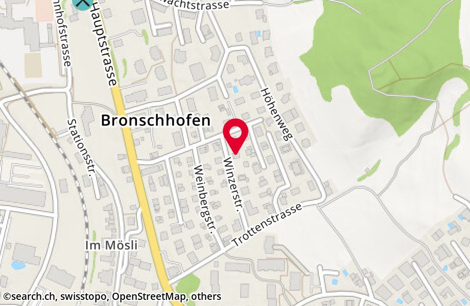 Winzerstrasse 3, 9552 Bronschhofen
