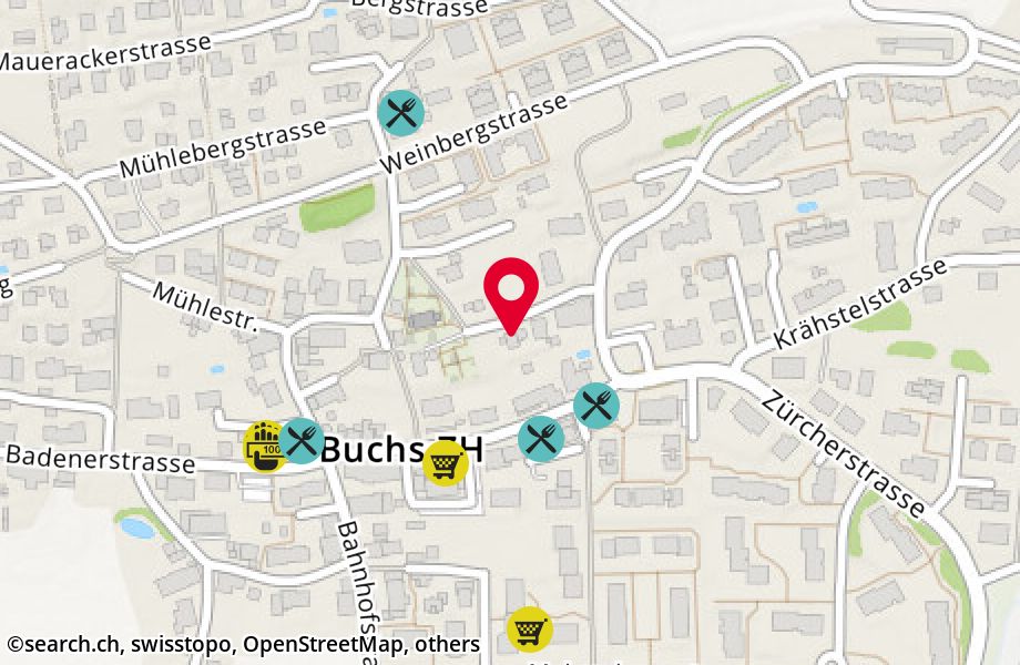 Kirchstrasse 9, 8107 Buchs