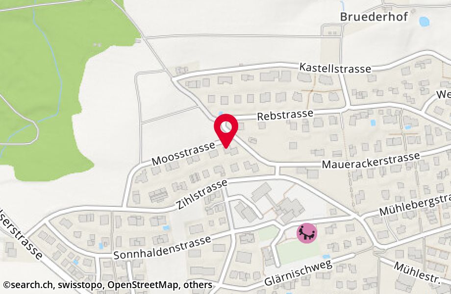 Moosstrasse 1, 8107 Buchs