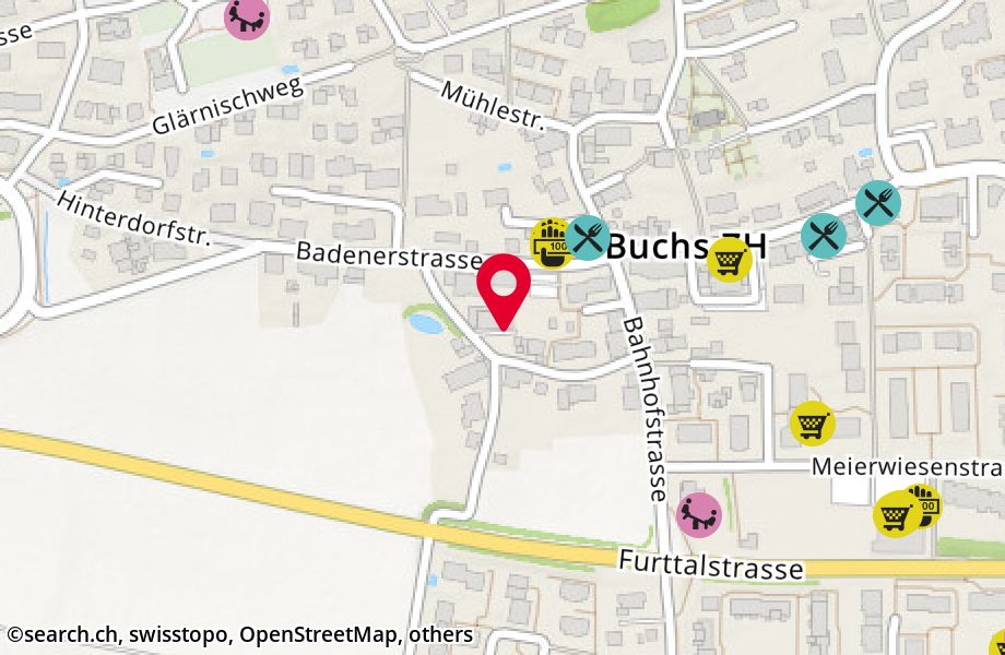 Unterdorfstrasse 8, 8107 Buchs