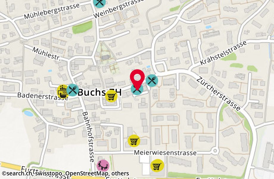 Zürcherstrasse 14, 8107 Buchs