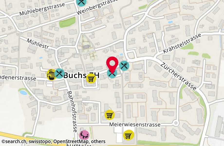 Zürcherstrasse 14, 8107 Buchs