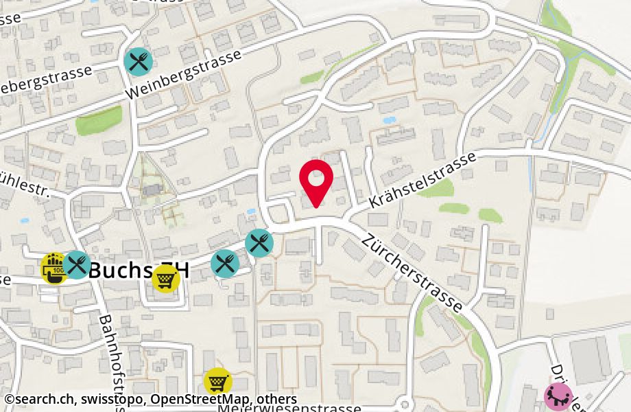 Zürcherstrasse 19, 8107 Buchs