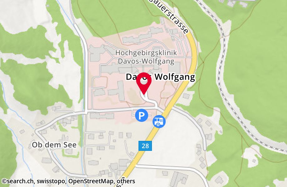 Herman Burchard Strasse 1, 7265 Davos Wolfgang