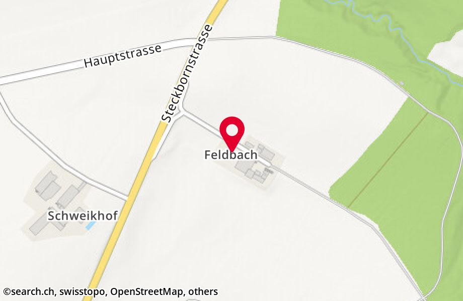 Feldbach 80, 8505 Dettighofen