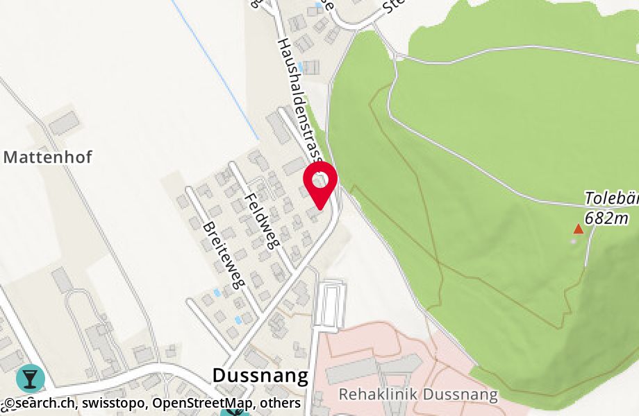 Haushaldenstrasse 11, 8374 Dussnang