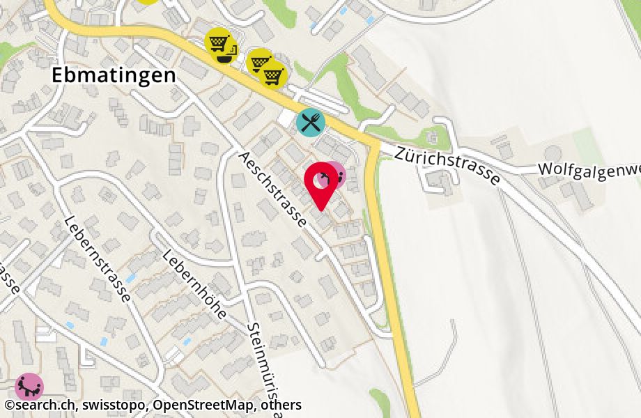 Aeschstrasse 151, 8123 Ebmatingen