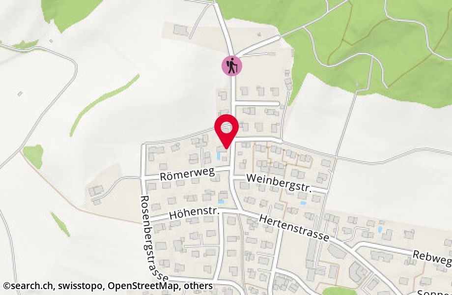 Hertenstrasse 31, 8353 Elgg