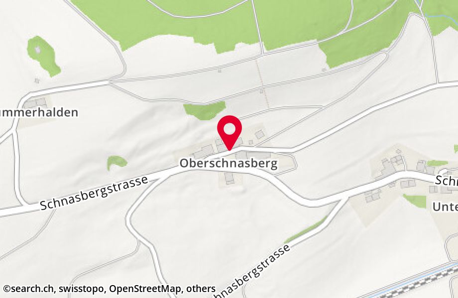 Oberschnasberg 9, 8352 Elsau