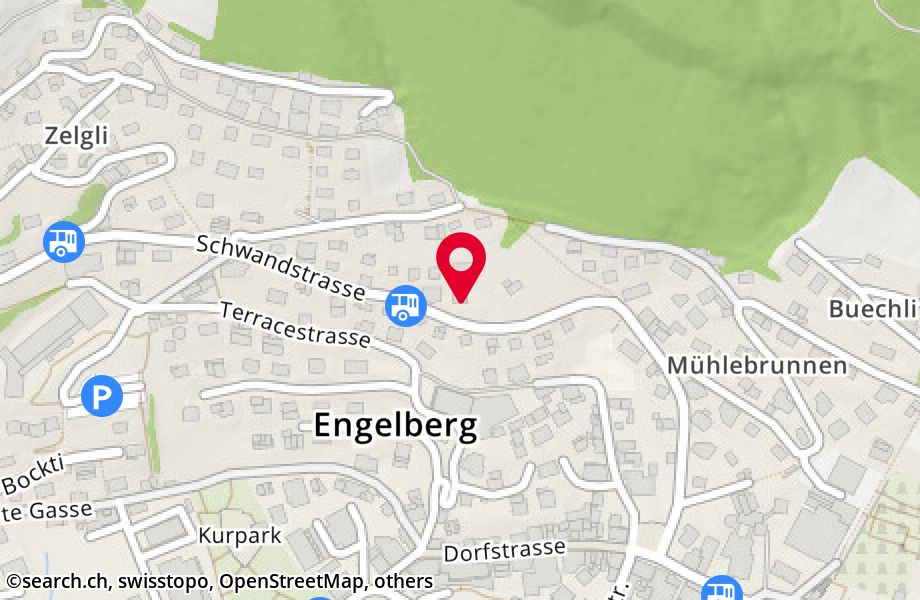 Schwandstrasse 32, 6390 Engelberg