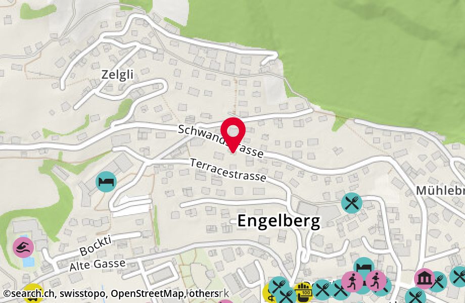 Schwandstrasse 41, 6390 Engelberg