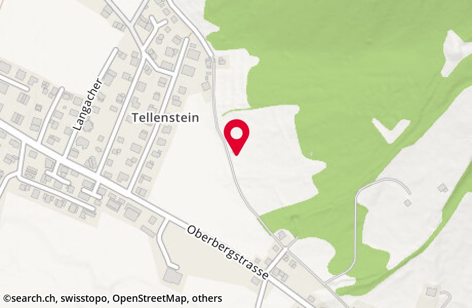 Tellensteinstrasse 41, 6390 Engelberg