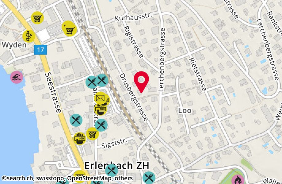 Drusbergstrasse 25, 8703 Erlenbach