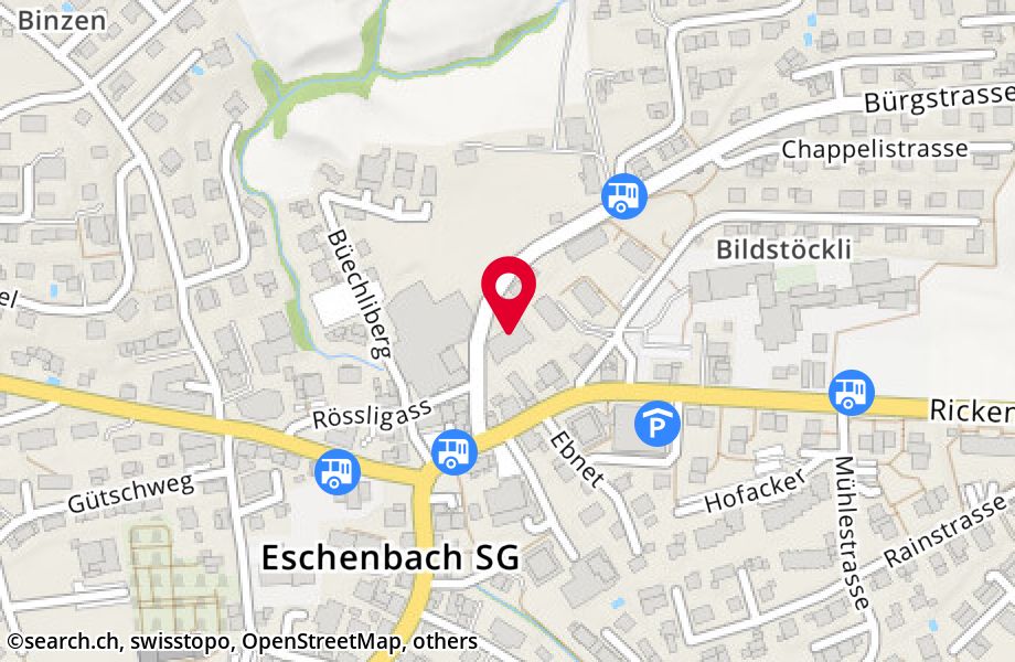 Bürgstrasse 4, 8733 Eschenbach