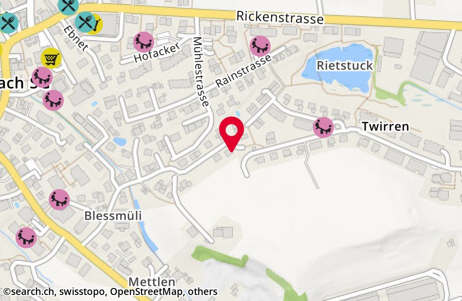 Blessstrasse 14, 8733 Eschenbach