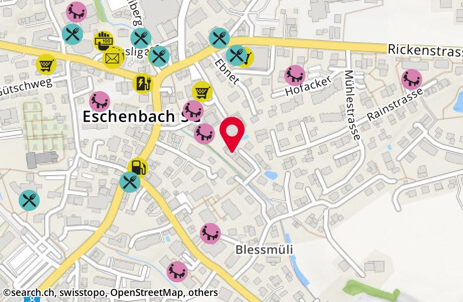 Müliweierstrasse 19, 8733 Eschenbach