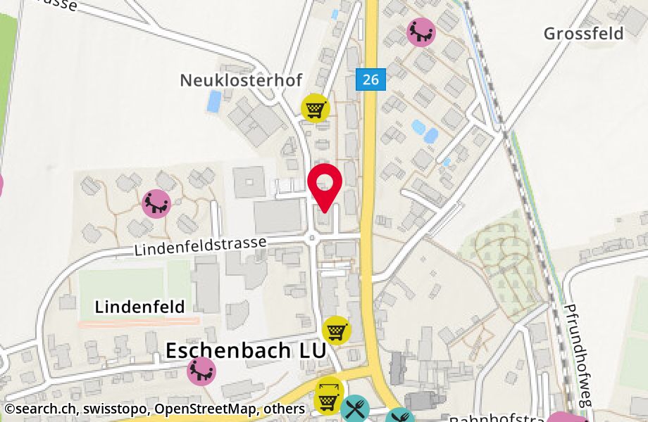 Oeggenringenstrasse 14, 6274 Eschenbach