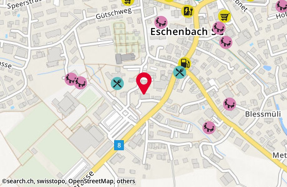 Rapperswilerstrasse 10, 8733 Eschenbach