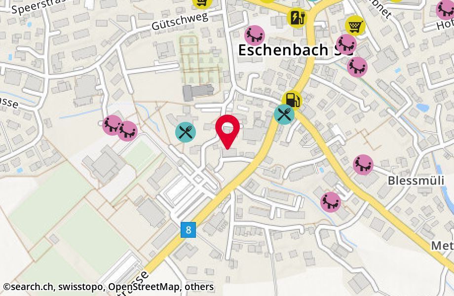 Rapperswilerstrasse 10, 8733 Eschenbach