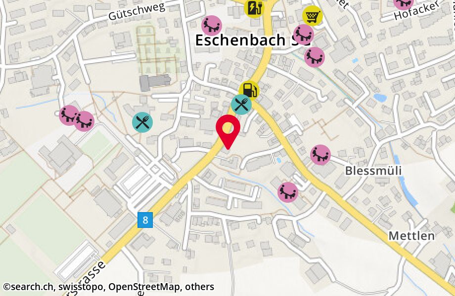 Rapperswilerstrasse 13, 8733 Eschenbach