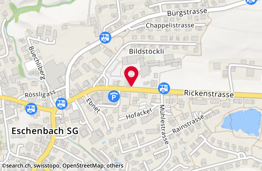 Rickenstrasse 23, 8733 Eschenbach