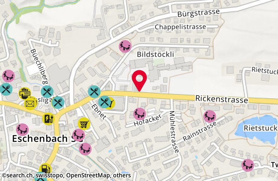 Rickenstrasse 23, 8733 Eschenbach