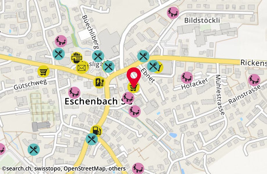 Rickenstrasse 8, 8733 Eschenbach
