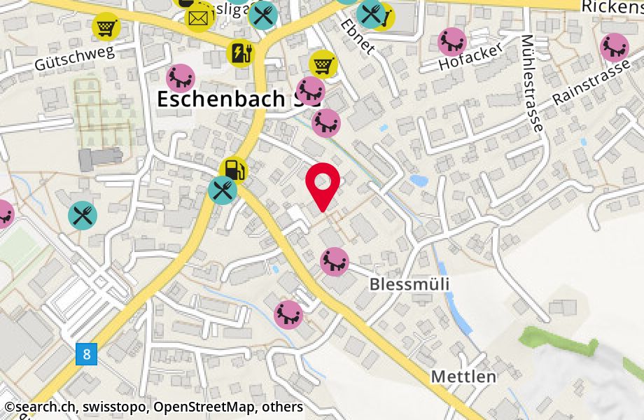 Schmerikonerstrasse 5B, 8733 Eschenbach