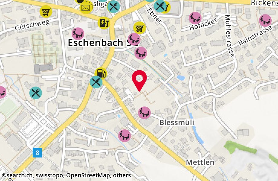 Schmerikonerstrasse 5B, 8733 Eschenbach