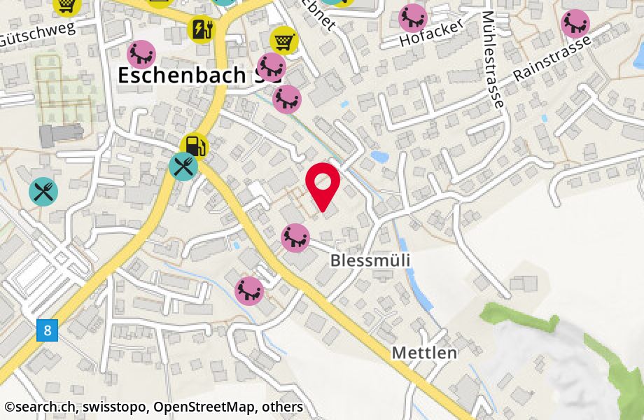 Schmerikonerstrasse 5D, 8733 Eschenbach