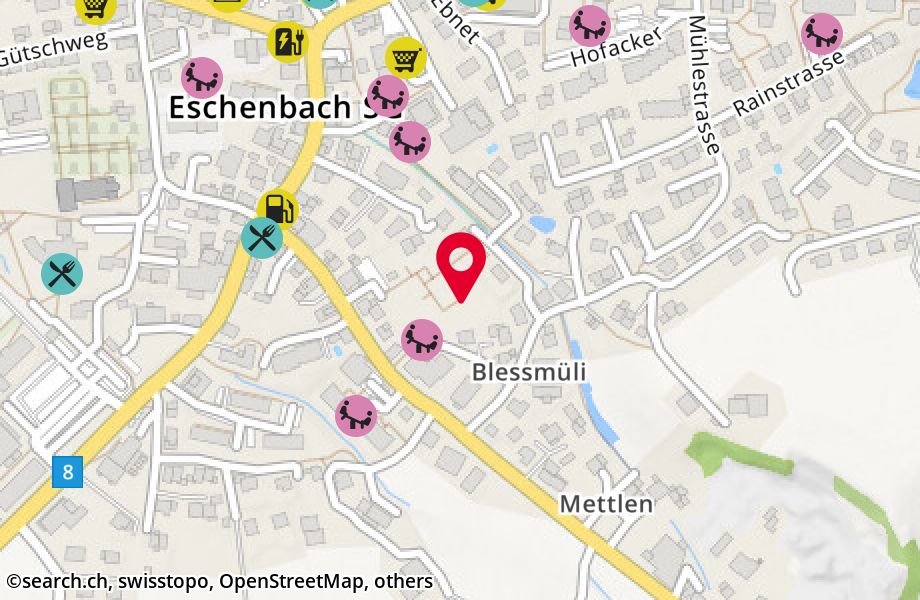 Schmerikonerstrasse 5D, 8733 Eschenbach