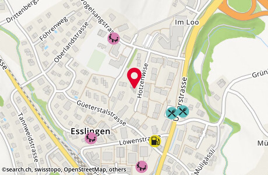 Hotzenwise 10, 8133 Esslingen