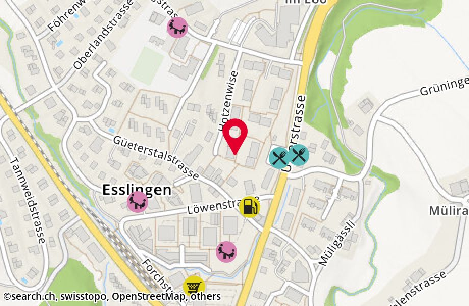 Hotzenwise 11, 8133 Esslingen