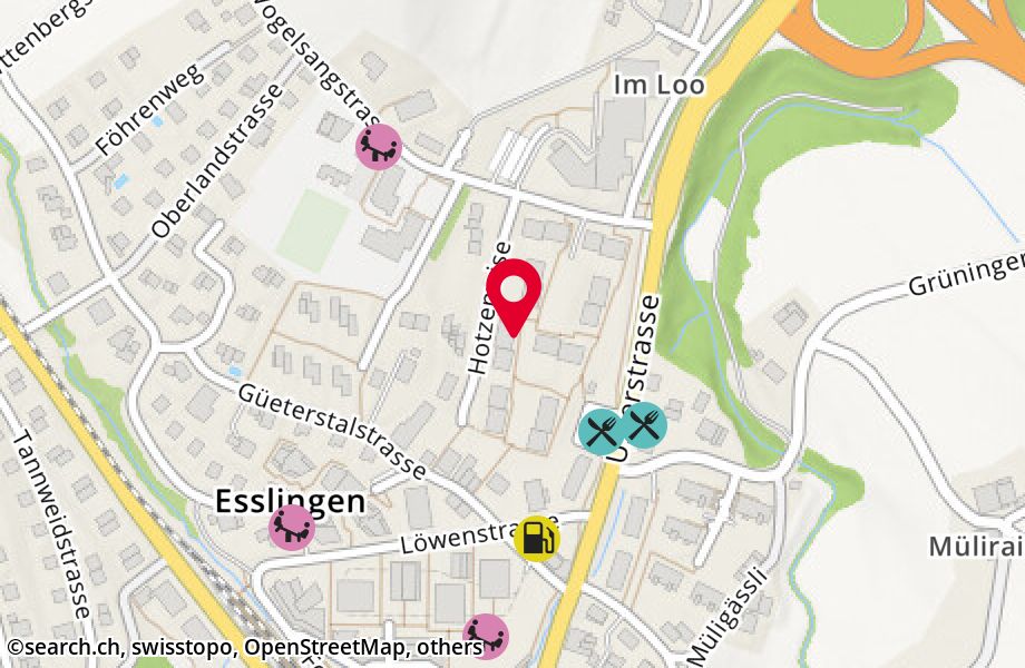 Hotzenwise 5, 8133 Esslingen