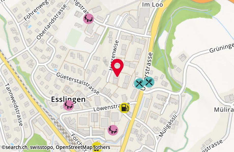 Hotzenwise 9, 8133 Esslingen