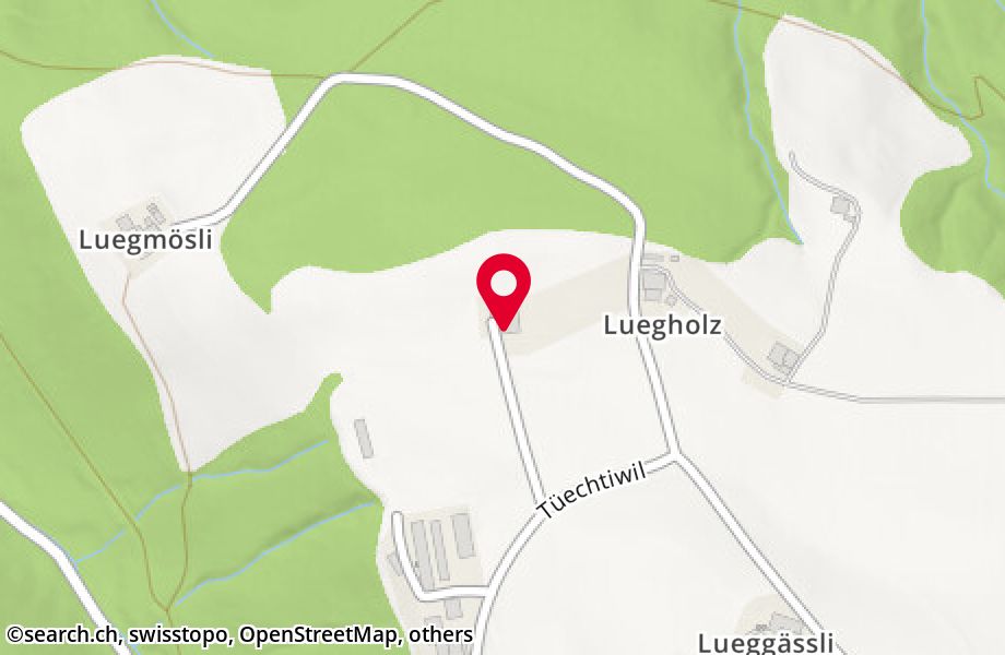 Luegholz 5, 3617 Fahrni b. Thun