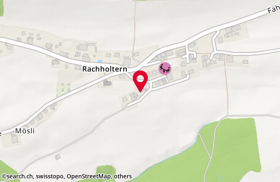 Rachholtern 67C, 3617 Fahrni b. Thun