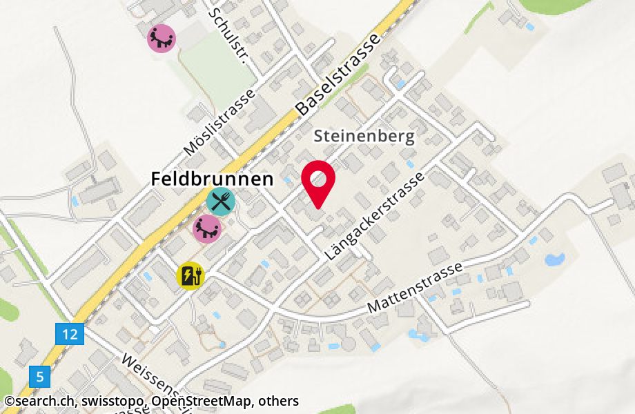 Steinenbergstrasse 2, 4532 Feldbrunnen