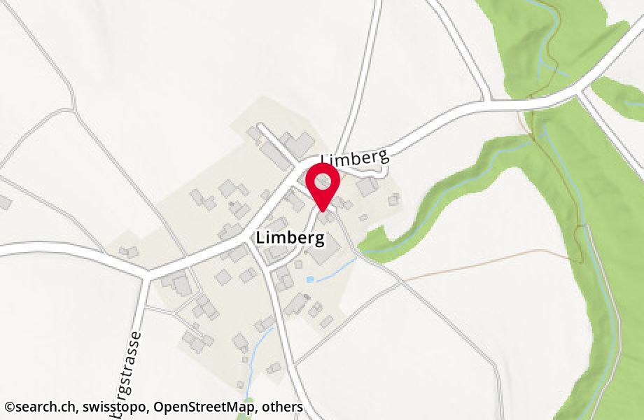 Limberg 58, 8127 Forch