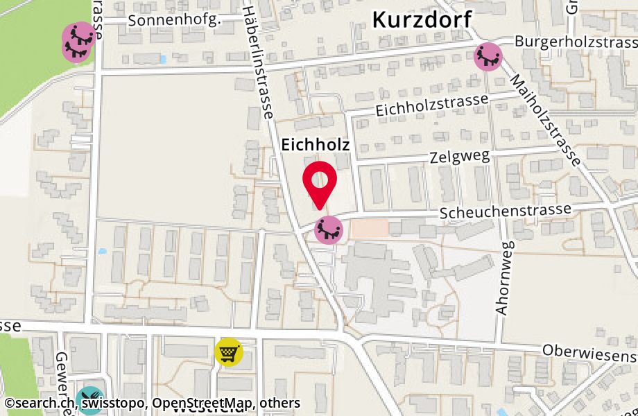 Scheuchenstrasse 42, 8500 Frauenfeld