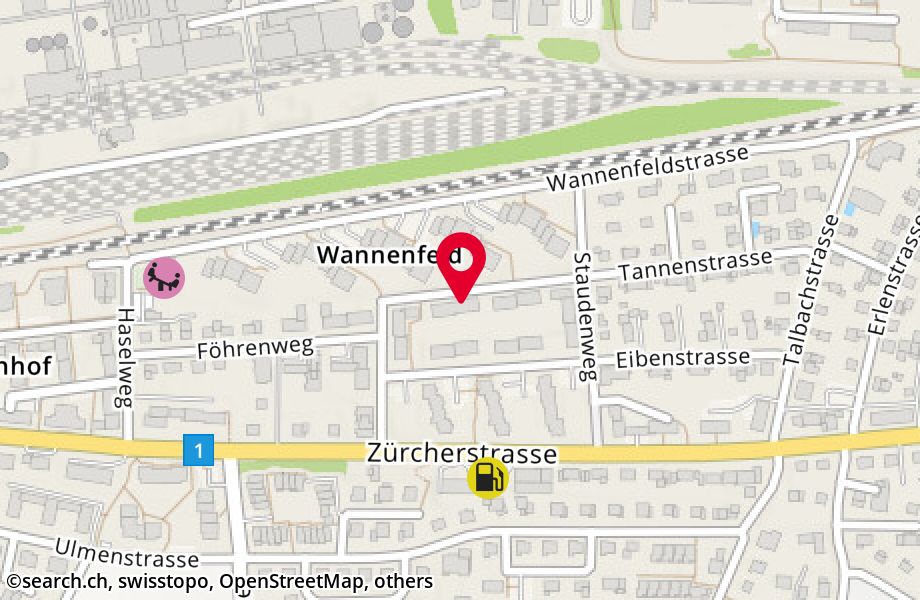 Tannenstrasse 29, 8500 Frauenfeld