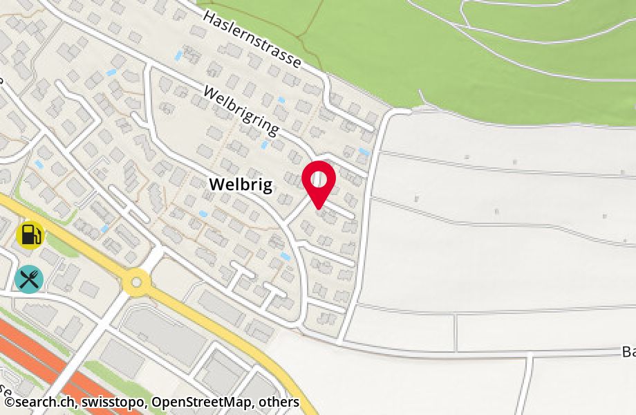 Welbrigring 2, 8954 Geroldswil