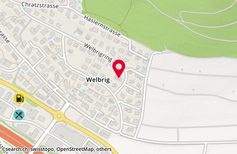 Welbrigring 7, 8954 Geroldswil