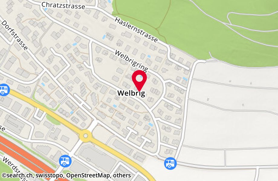 Welbrigstrasse 22A, 8954 Geroldswil