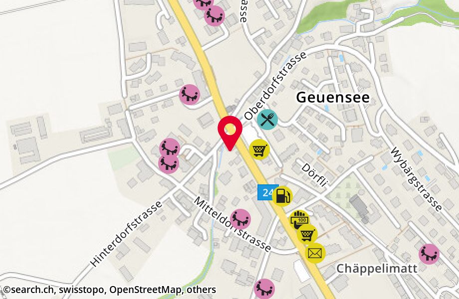 Kantonsstrasse 35, 6232 Geuensee