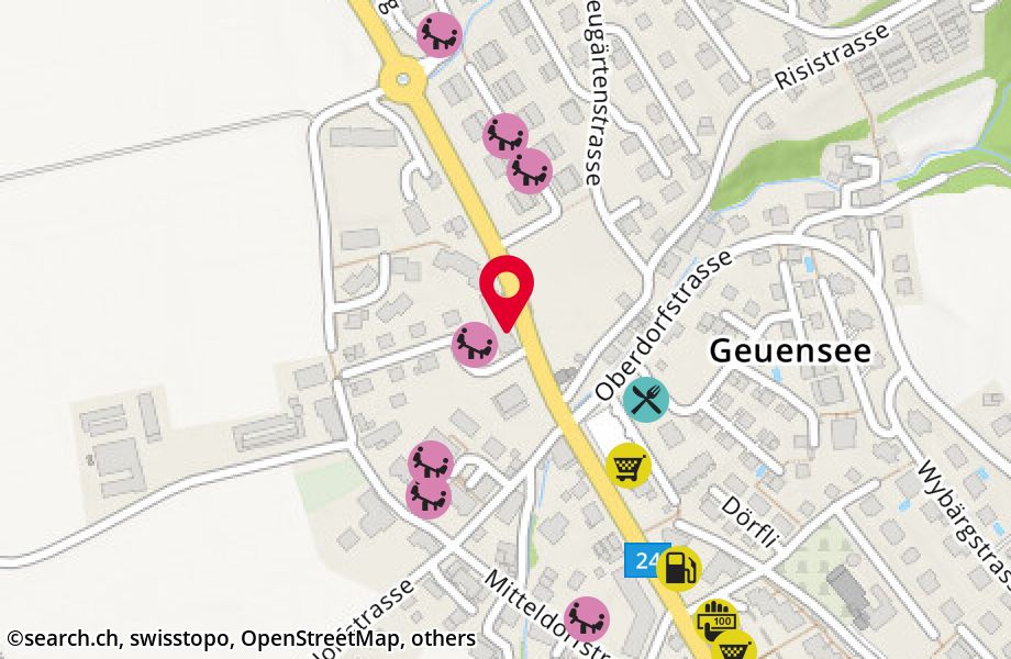 Kantonsstrasse 41, 6232 Geuensee