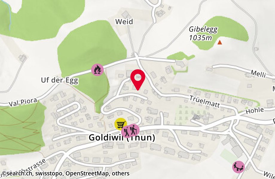 Untere Trüelmatt 22, 3624 Goldiwil (Thun)