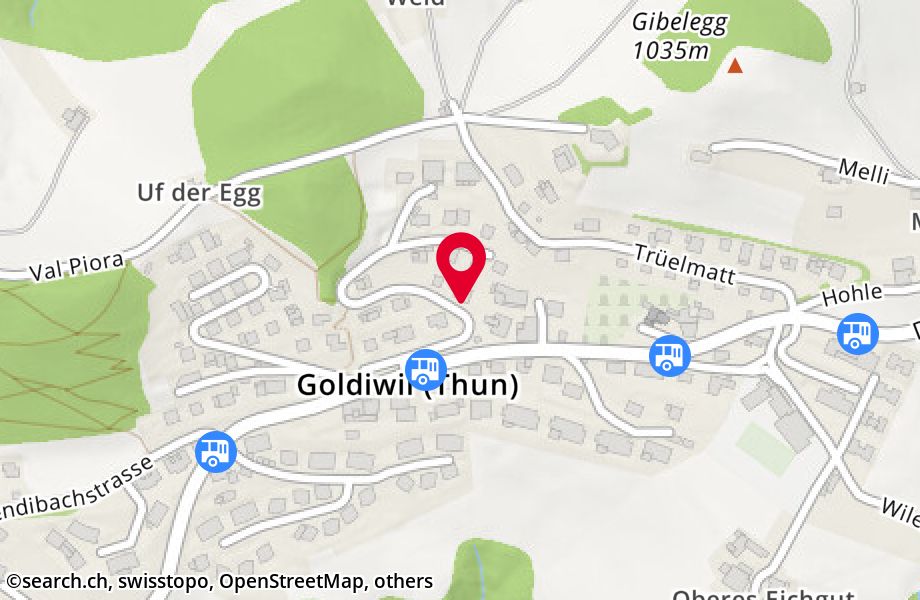 Untere Trüelmatt 6, 3624 Goldiwil (Thun)