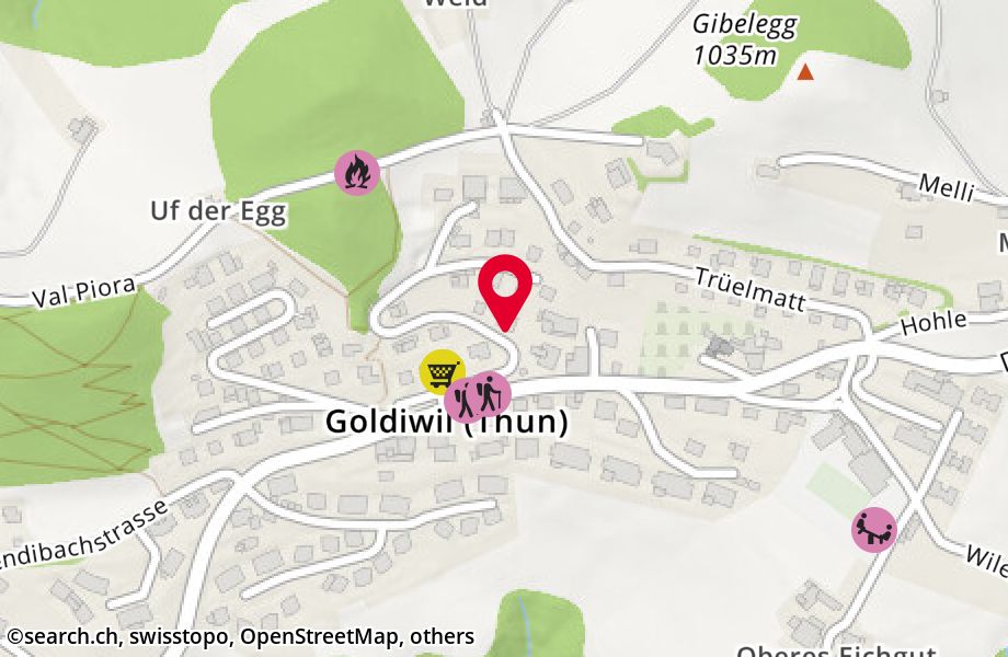 Untere Trüelmatt 6, 3624 Goldiwil (Thun)