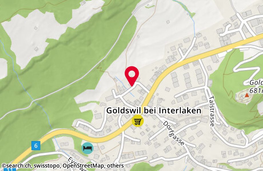 Buechwaldgasse 14, 3805 Goldswil b. Interlaken